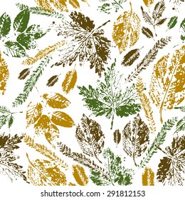 seamless pattern of leaves prints in color of autumn leaves on a white background