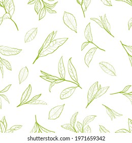 Seamless pattern with leaves  of a tea plant.Set of tea plant branches and leaves. Silhouettes of branches and leaves of a tea bush.Skcetch of tea leaves.