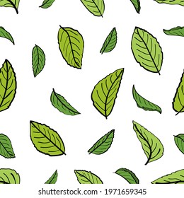 Seamless pattern with leaves  of a tea plant.Set of tea plant branches and leaves. Silhouettes of branches and leaves of a tea bush.Skcetch of tea leaves.