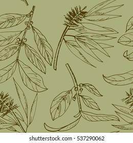 seamless pattern with the leaves of the tea tree. Hand drawn