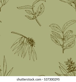 seamless pattern with the leaves of the tea tree. Hand drawn