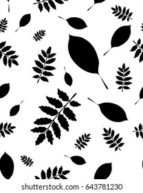 Seamless pattern of leaves of trees on a white background, vector