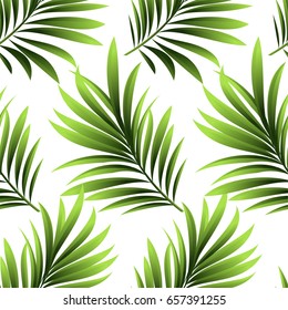 Seamless pattern. Leaves of a tropical palm tree.