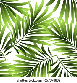 Seamless pattern. Leaves of a tropical palm tree.