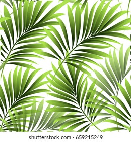 Seamless pattern. Leaves of a tropical palm tree.