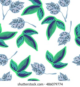 Seamless pattern with leaves.The leaves of the two species in seamless pattern on a white background. Square vector illustration.