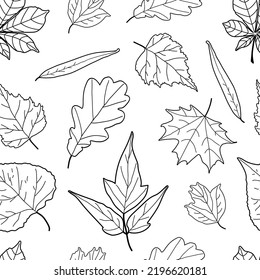 Patrón sin soldadura con hojas, ilustración vectorial