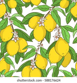 Seamless pattern with lemon branches with fruits, flowers and leaves on white background. Citrus collection. 