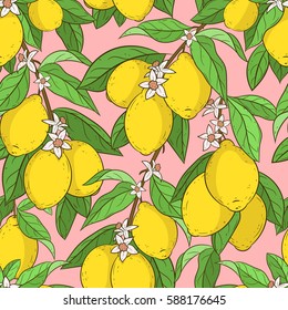 Seamless pattern with lemon branches, fruits, leaves, flowers on pink background