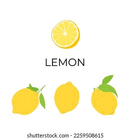 Seamless pattern with lemon fruits and leaves. Fruit repeating background. Vector illustration for fabric or wallpaper