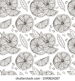 Seamless pattern of lemon, сitrus, lime. Isolated on white background. Tropical summer fruit. Detailed citrus drawing Great for tea, juice, natural cosmetics. Black and white sketch. Hand drawn