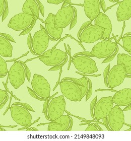 Seamless pattern lemon on branch with leaves engraving. Vintage background of citrus fruits in hand drawn style. Vector repeated color design texture for print, fabric, wrapping, wallpaper, tissue.