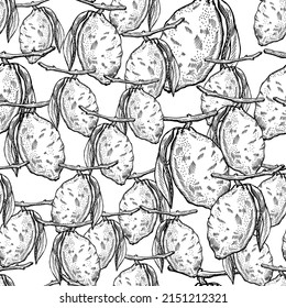 Seamless pattern lemon on branch with leaves engraving. Vintage background of citrus fruits in hand drawn style. Vector repeated color design texture for print, fabric, wrapping, wallpaper, tissue.
