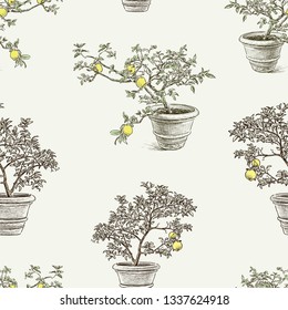 Seamless pattern of lemon trees in the flowerpots