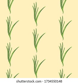 Seamless pattern of lemongrass plant vector botanical illustration. Cymbopogon grass 