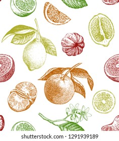 Seamless pattern with lemons, oranges and mandarins. Hand drawn illustration. Vector