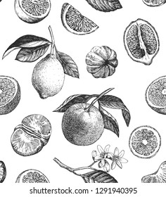 Seamless pattern with lemons, oranges and mandarins. Hand drawn illustration. Vector