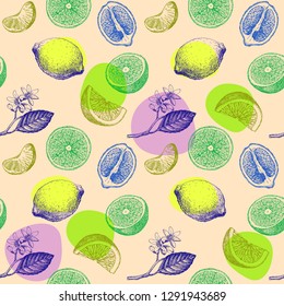 Seamless pattern with lemons, oranges and mandarins. Hand drawn illustration.  Vector