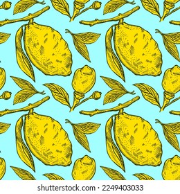 Seamless pattern lemons seamless pattern. Vintage background with lemon in hand drawn style.