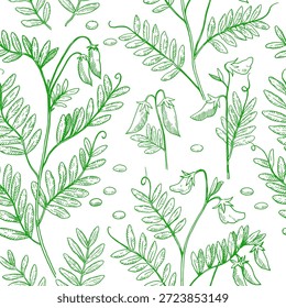Seamless pattern with lentil plants, pods and beans. Hand-drawn detailed monochrome vector illustration.