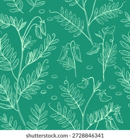 Seamless pattern with lentil plants, pods and beans. Hand-drawn detailed monochrome vector illustration.