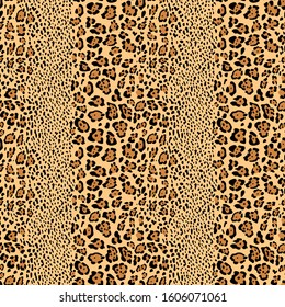 Seamless pattern of leopard and Jaguar. The skin of a wild animal in the vector, print.