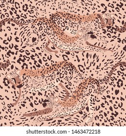 Seamless pattern with leopards. Find the leopard, disguise with the background. Leopard spots new