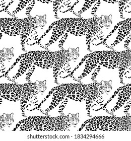 Seamless pattern with leopards. Hand-drawn vector illustration on white. Animal art background. Black and white.