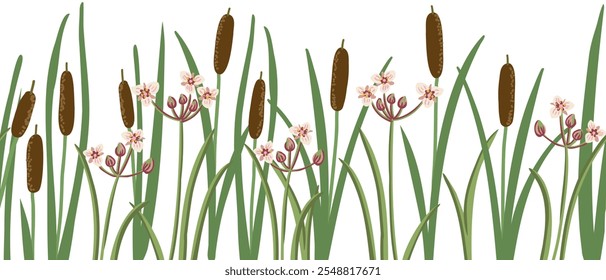 padrão sem emenda com menos bulrush e floração, narrowleaf cattail, redmace, vetor desenho plantas selvagens em fundo branco, borda floral, desenhado à mão ilustração botânica