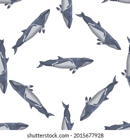 Seamless pattern lesser rorqual on white background. Template of cartoon character of ocean for fabric. Repeated diagonal texture with marine cetacean. Design for any purposes. Vector illustration.