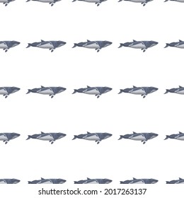 Seamless pattern lesser rorqual on white background. Template of cartoon character of ocean for fabric. Repeated geometrical texture with marine cetacean. Design for any purposes. Vector illustration.