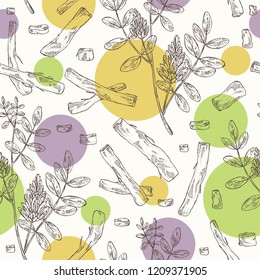 Seamless pattern with licorice: licorice plant, flowers and licorice root. Cosmetics and medical plant. Vector hand drawn illustration.