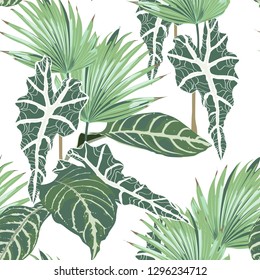 Seamless pattern, light green colors palm leaves and tropical plants on white background. 