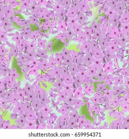 Seamless pattern with lilac flowers 