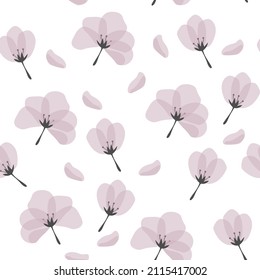 seamless pattern with lilac flowers delicate on a white background