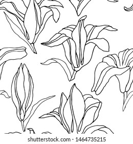 seamless pattern with lilies, coloring