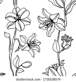 Seamless pattern of lilies flowers vector. Hand drawn black outline illustration on white background.  Graphic texture for design, fabric textile, wallpaper, 