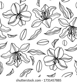 Seamless pattern of lilies flowers vector. Hand drawn black outline illustration on white background.  Graphic texture for design, cosmetics, fabric textile, wallpaper, 