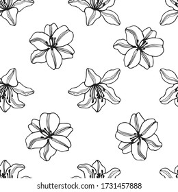 Seamless pattern of lilies flowers vector. Hand drawn black outline illustration on white background.  Graphic texture for design, cosmetics, fabric textile, wallpaper, 