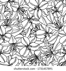 Seamless pattern of lilies flowers vector. Hand drawn black outline illustration on white background.  Graphic texture for design, cosmetics, fabric textile, wallpaper, 