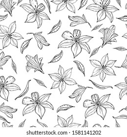 Seamless pattern with lily flower on a white textured background. Handmade. Vector. Print for bed linens, fabric, textiles, wallpaper, greeting cards, wrapping paper,gift box
