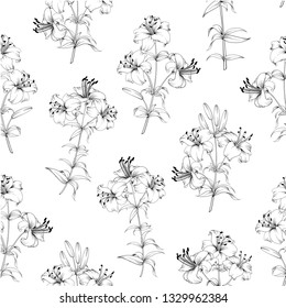 Seamless Pattern of lily flowers. Floral background with blooming lilies isolated on white background. Seamless pattern with blooming lilies. Vector illustration.