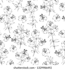 Seamless Pattern of lily flowers. Floral background with blooming lilies isolated on white background. Seamless pattern with blooming lilies. Vector illustration.