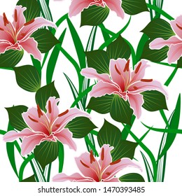 seamless pattern with lily flowers on a white background