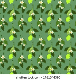 SEAMLESS PATTERN WITH LIME TREE BRANCHES AND FRUITS IN VECTOR
