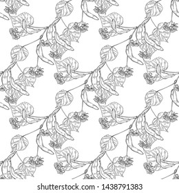 Seamless pattern with linden branches on white background. Line art.