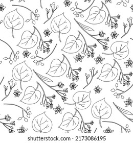 Patrón sin soldadura Linden flor brunch, gráfico decorativo basswood vectorial ilustración de la tinta dibujada a mano aislado en blanco, fondo del contorno de la flor de miel para el diseño de té de hierbas, cosmético