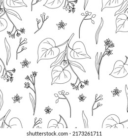 Seamless Pattern Linden Flower Brunch, Decorative Graphic Basswood Vector Hand Drawn Ink Illustration Isolated On White, Honey Flower Blossom Outline Background For Design Herbal Tea, Cosmetic