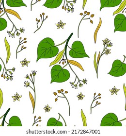 Seamless pattern Linden flower spring, decorative graphic basswood vector hand drawn ink illustration isolated on white background, honey flowers, buds and leaf doodle sketch for design herbal tea
