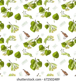 Seamless pattern with linden leaves and seeds